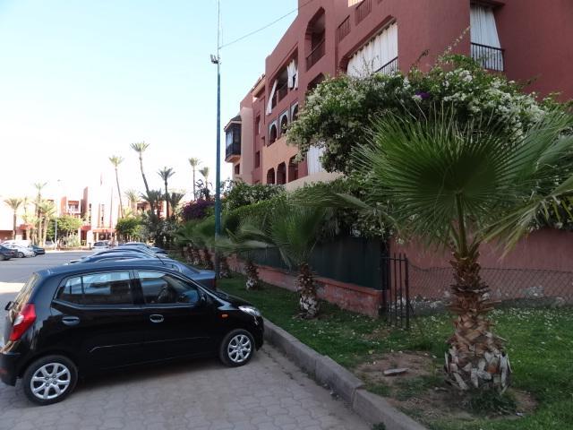 Manis Set In A Area