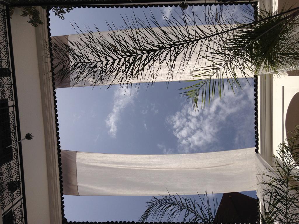 Faiza Marrakesh