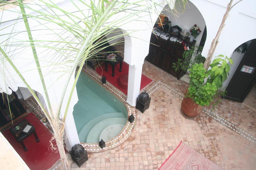 Faiza Riad 3*