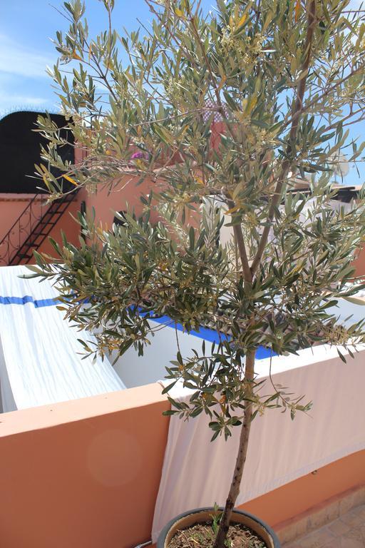 Riad Faiza Marrakesh
