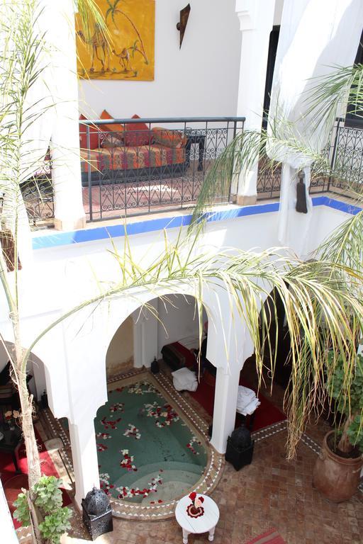 Faiza Riad