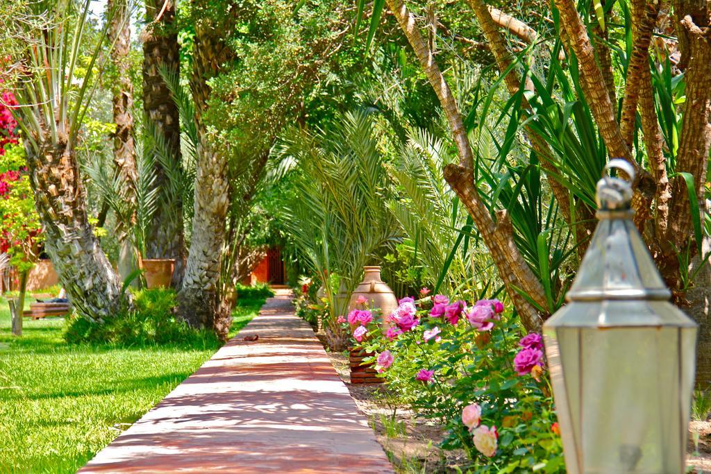 Guest house Dar Ayniwen Garden & Bird Zoo Marrakesh