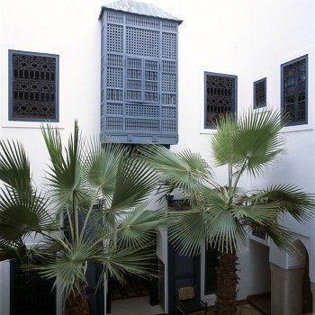 Dyor Riad