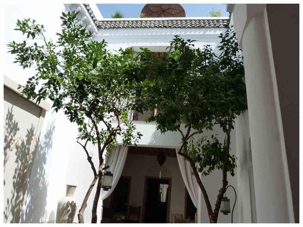 Les Orangers D'alilia Riad 3*