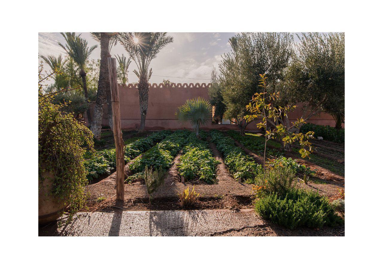 55 Marrakech 3* Marraquexe