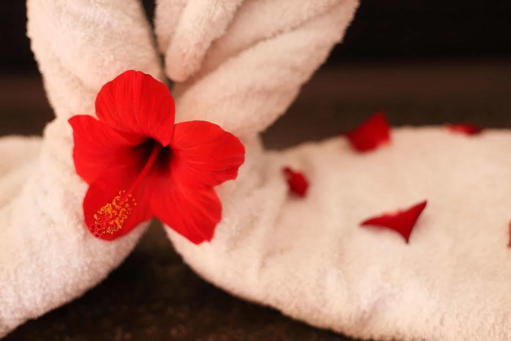 Hotel Dar Kamar Zamane (adults Only) Marrakesh