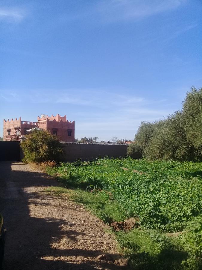 Darga Rouge Estadia no rancho