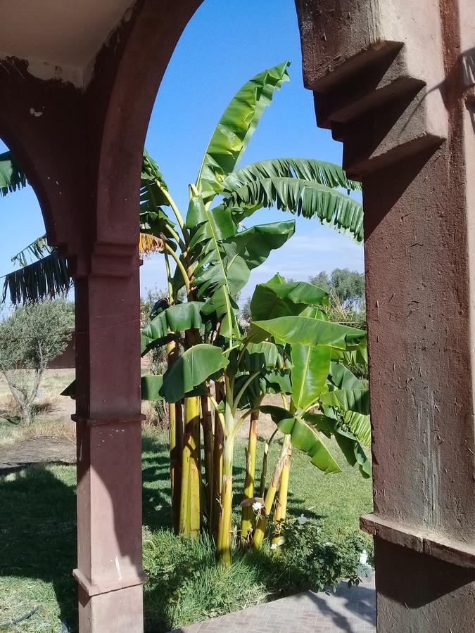 Darga Rouge Estadia no rancho