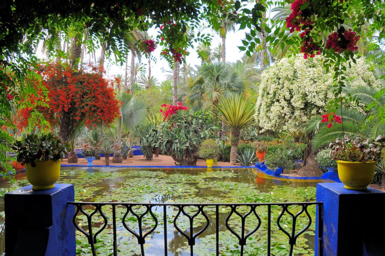 Mirador De Majorelle, The Is Only For Families Marrakesh
