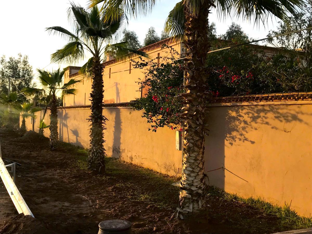 Palais Souad Marraquexe