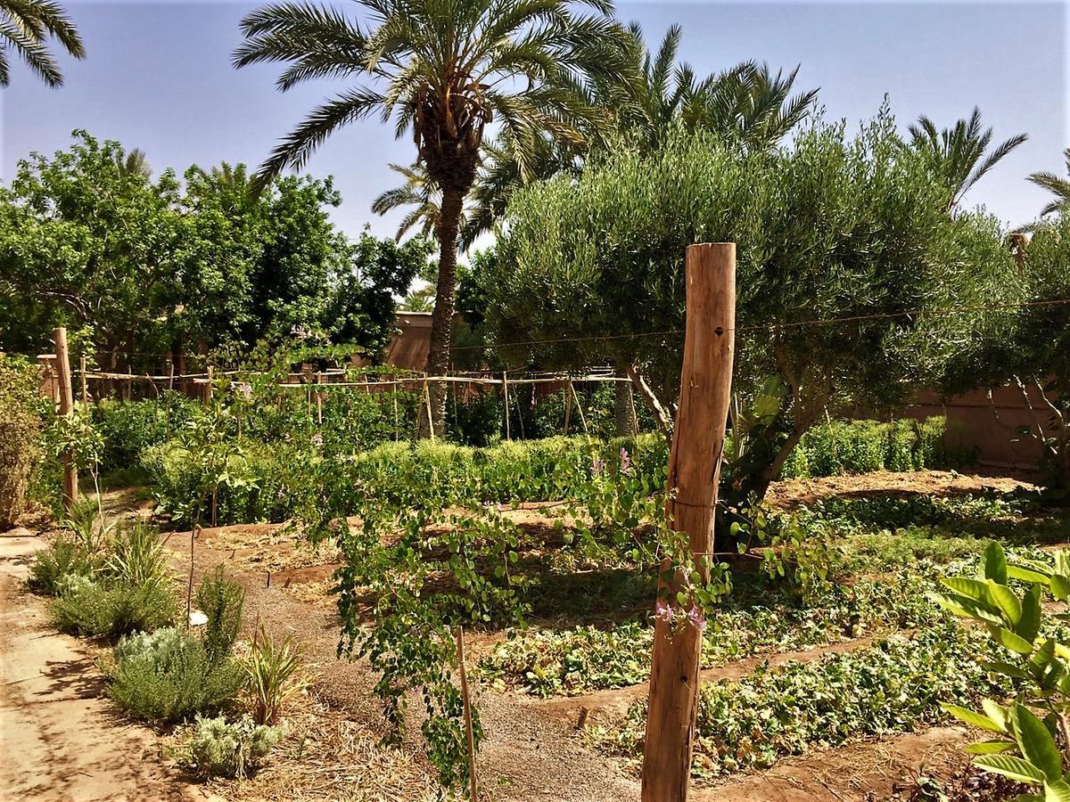 Acomodação com café da manhã  55 Marrakech Marraquexe