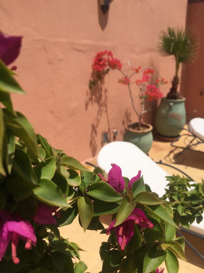 Dar Raha 3* Marrakesh
