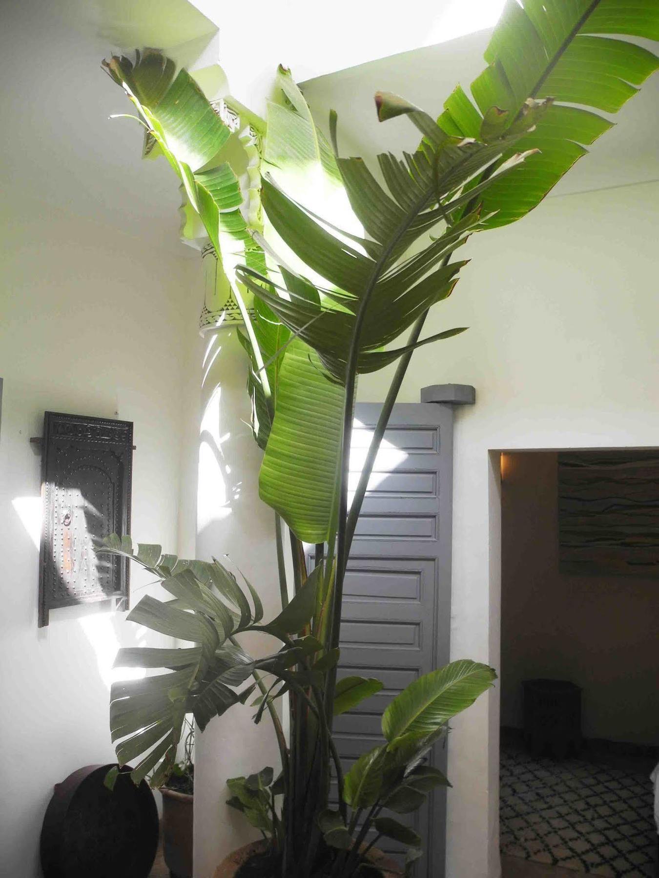 Riad Riad Linda 3*