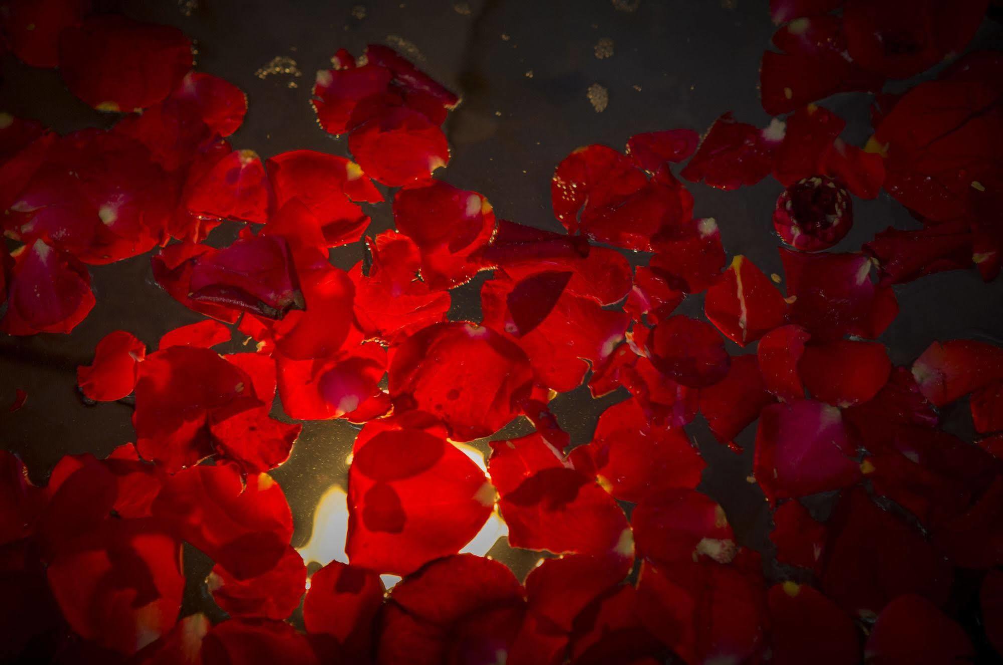 Riad Rose Du Desert 3*