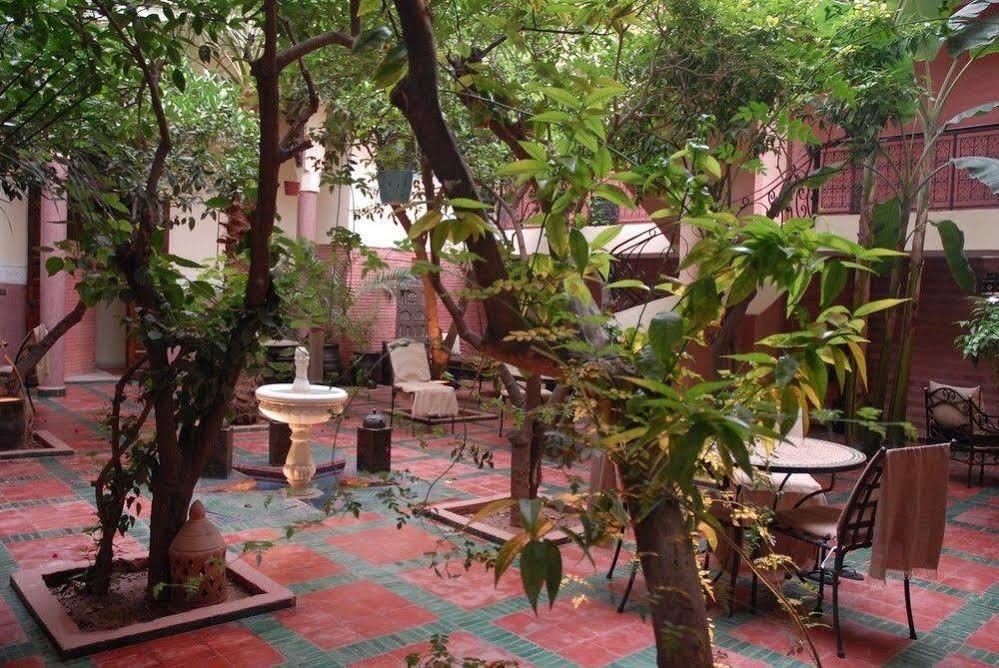 Riad Meilleur