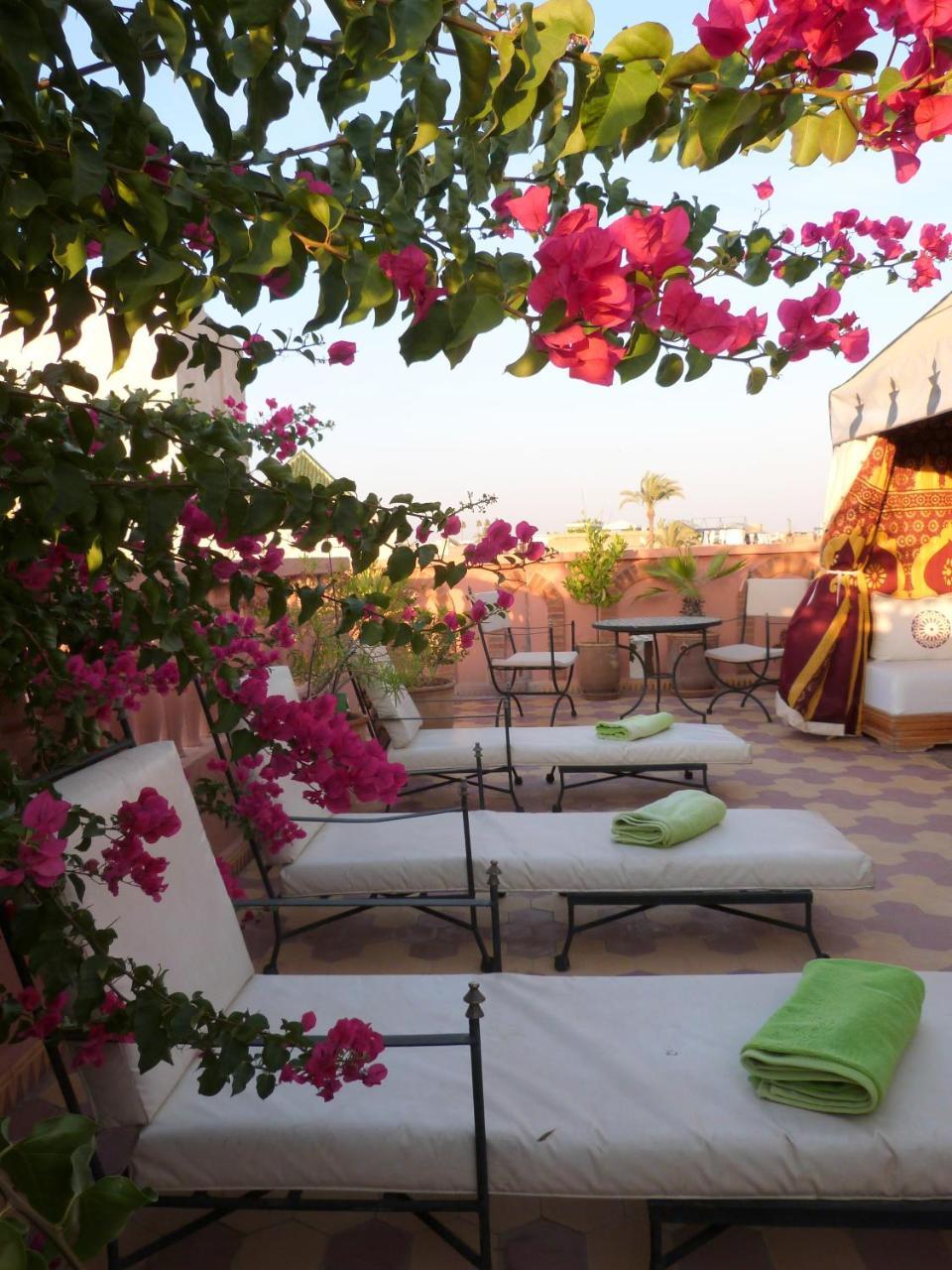 Habib Riad