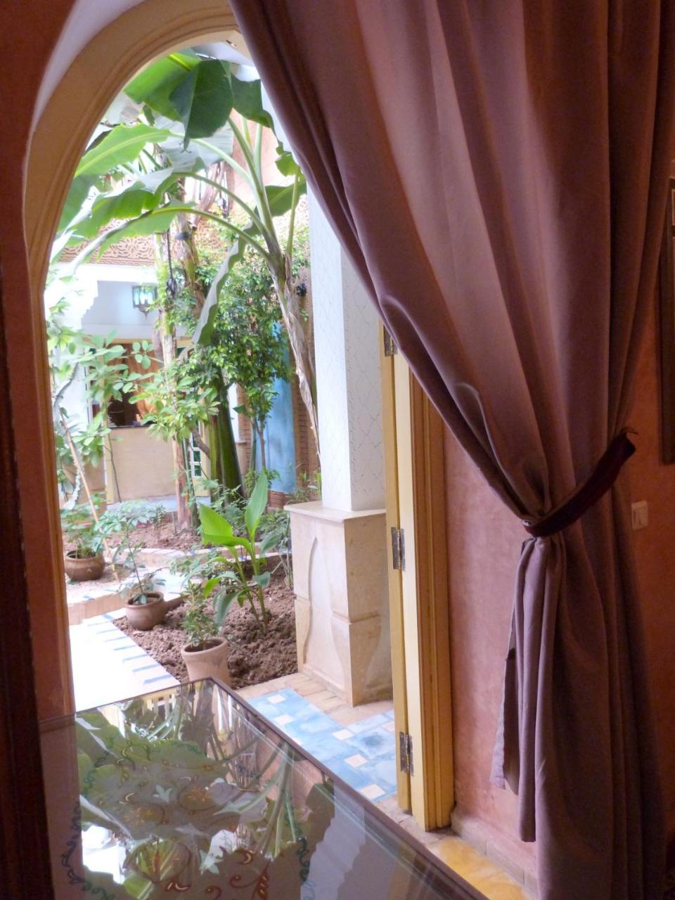 Riad Habib