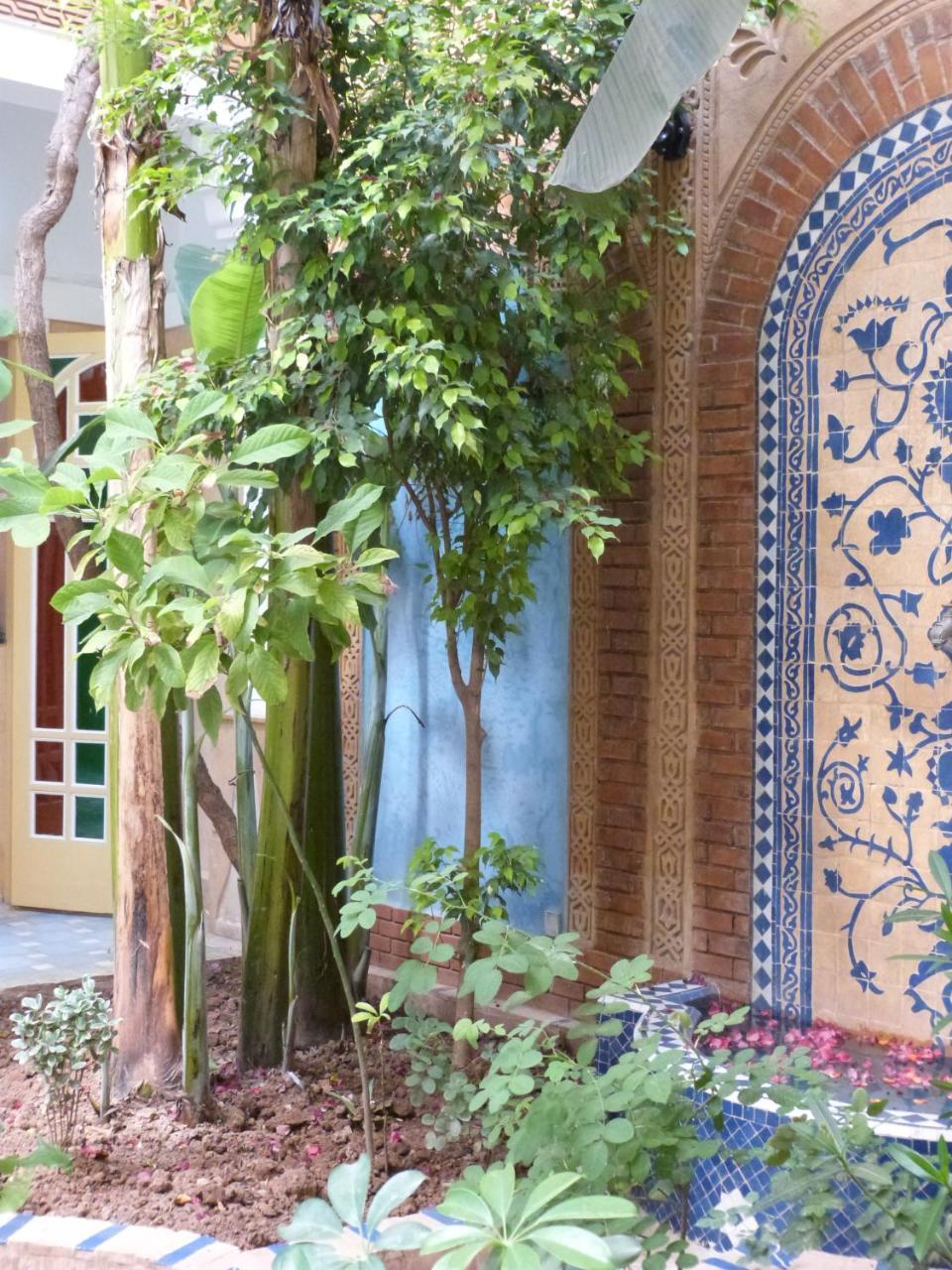 Habib Riad Marraquexe