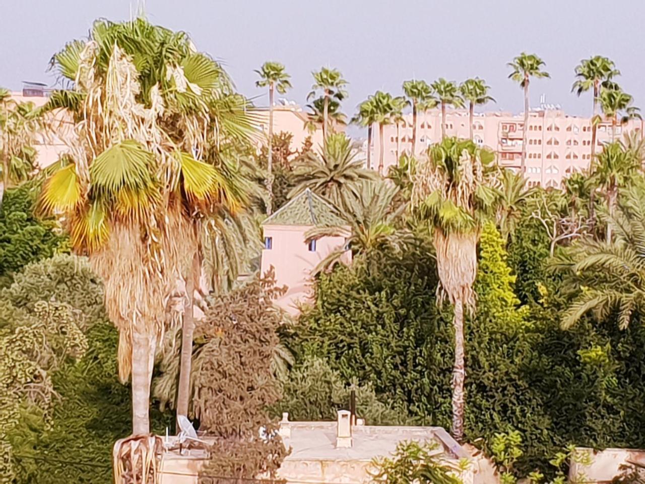 Majorelle Luxury -anas Majorelle- * Marrakesh