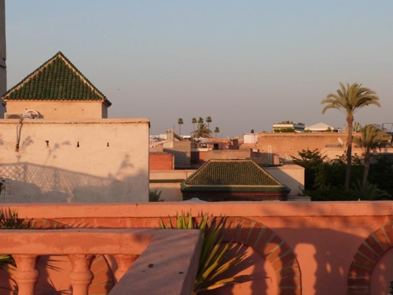 Habib Riad