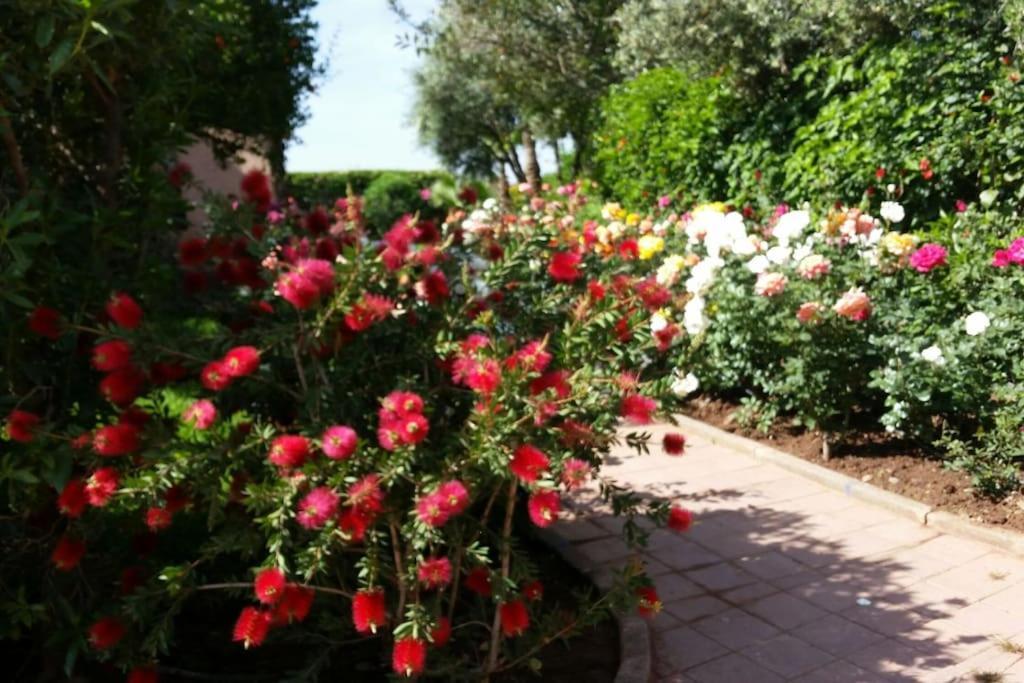 Marrakech Piscine Privee *
