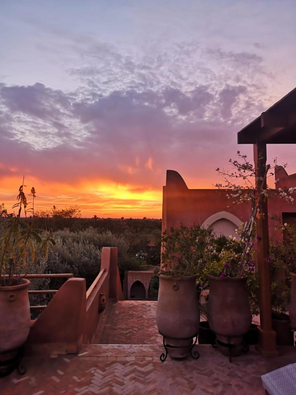 Greenlife Marrakech Maison d'hôtes