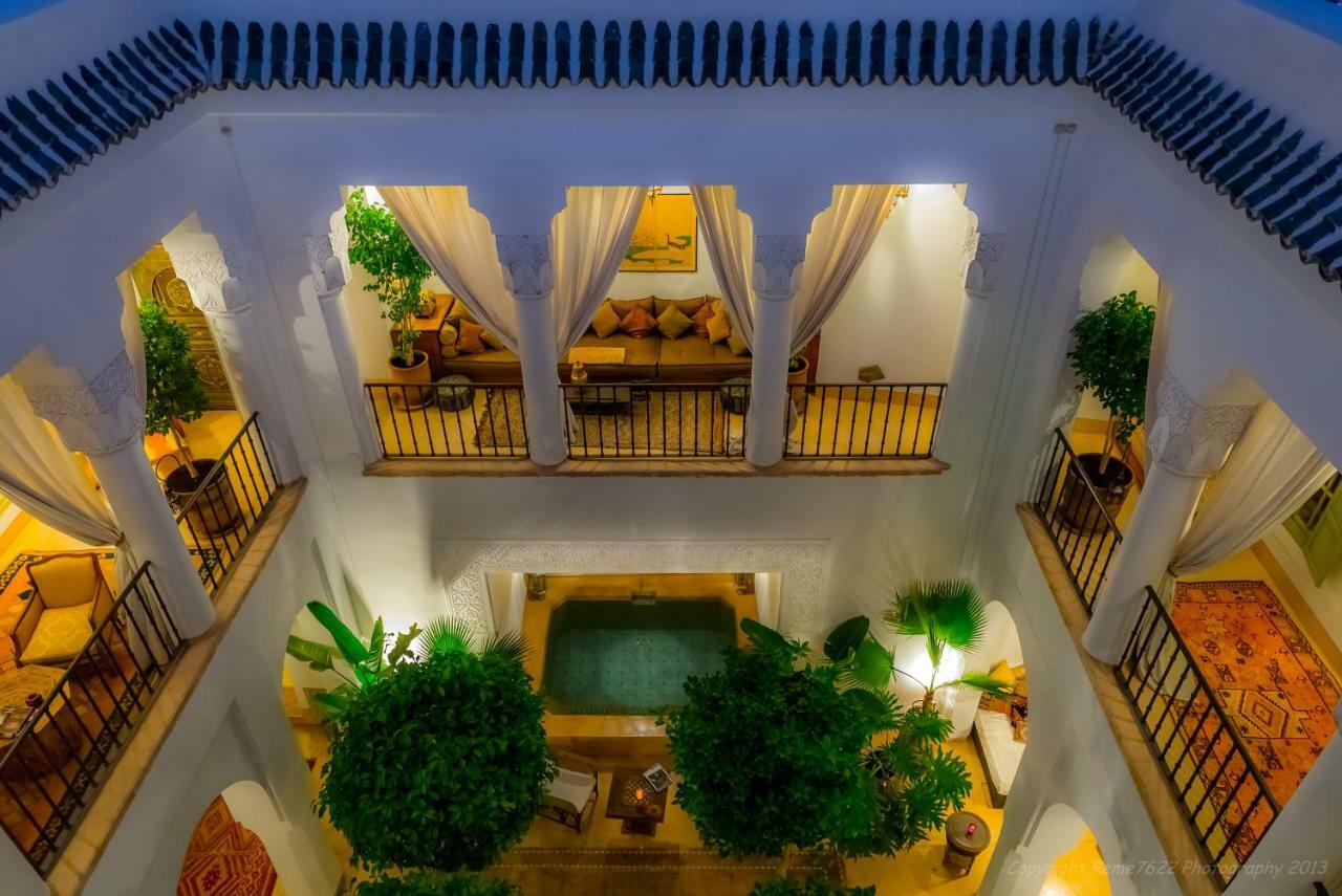 Camilia Marrakesh