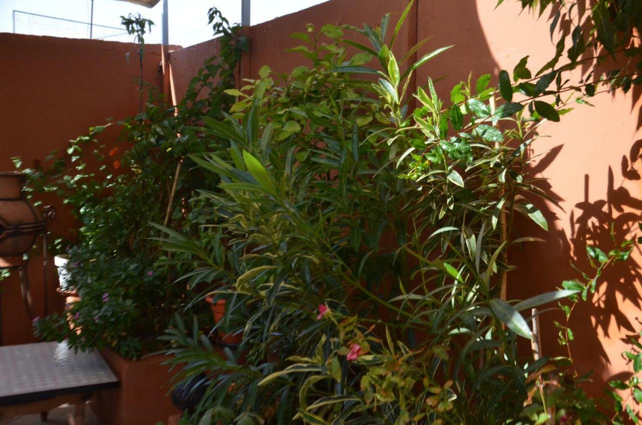 Guest house Ryad Ayad *