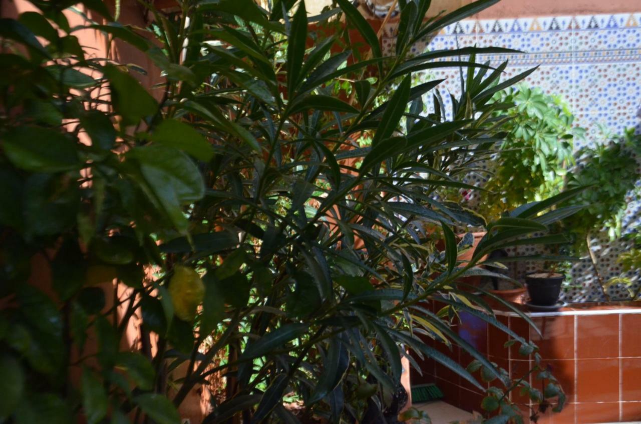 Ryad Ayad Guest house *