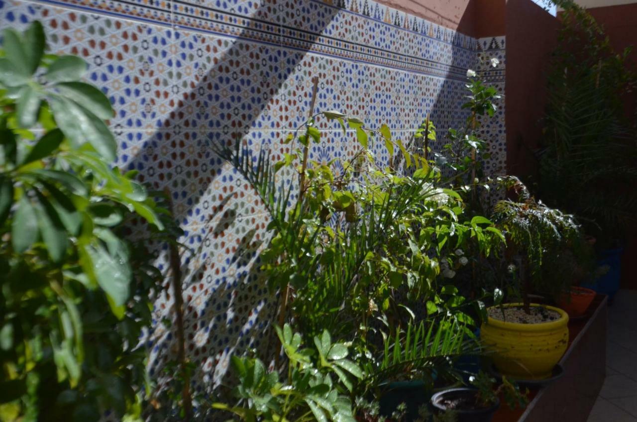 Guest house Ryad Ayad *