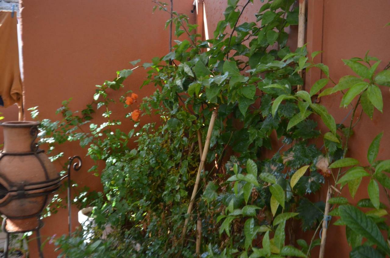 Ryad Ayad Guest house