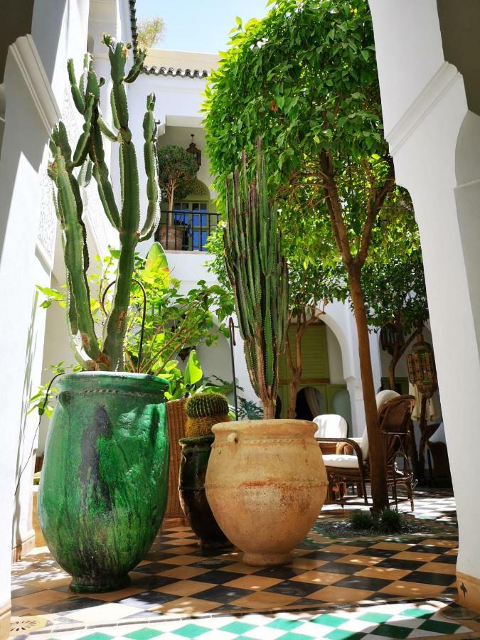 Camilia Riad