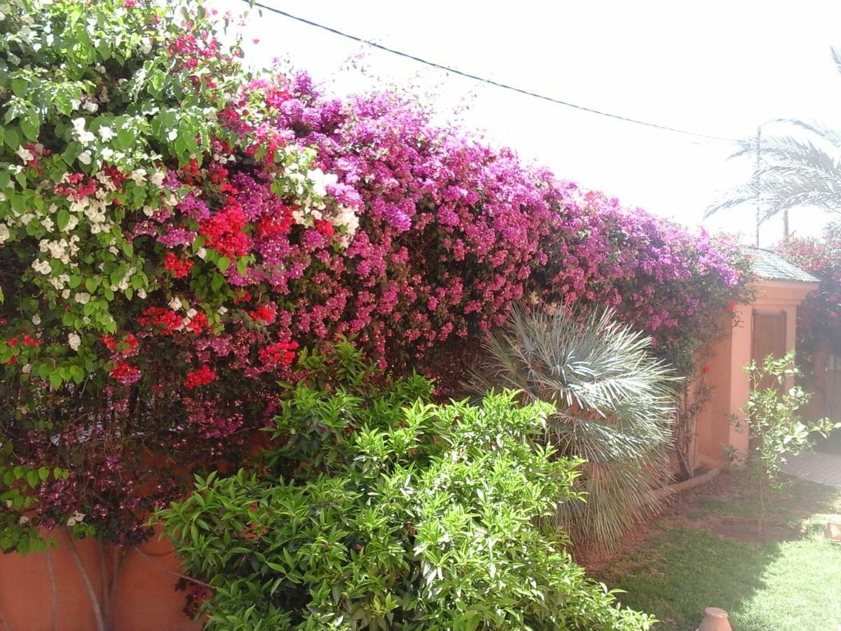 Clos Odette * Marrakesh