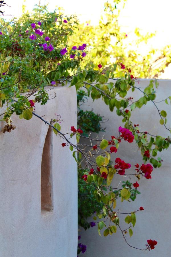 Agnes Et Zohra Marrakesh