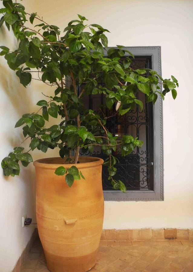 Riad Riad Linda