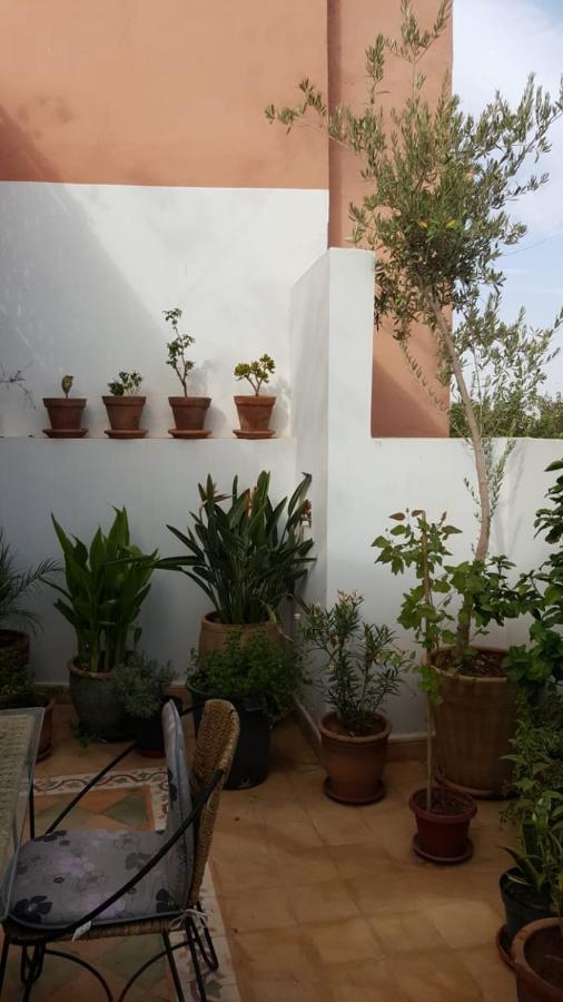 Homestay Medina