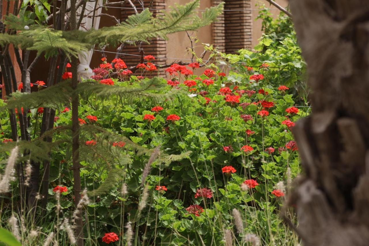 Dar Gonzo & 3* Marrakesh