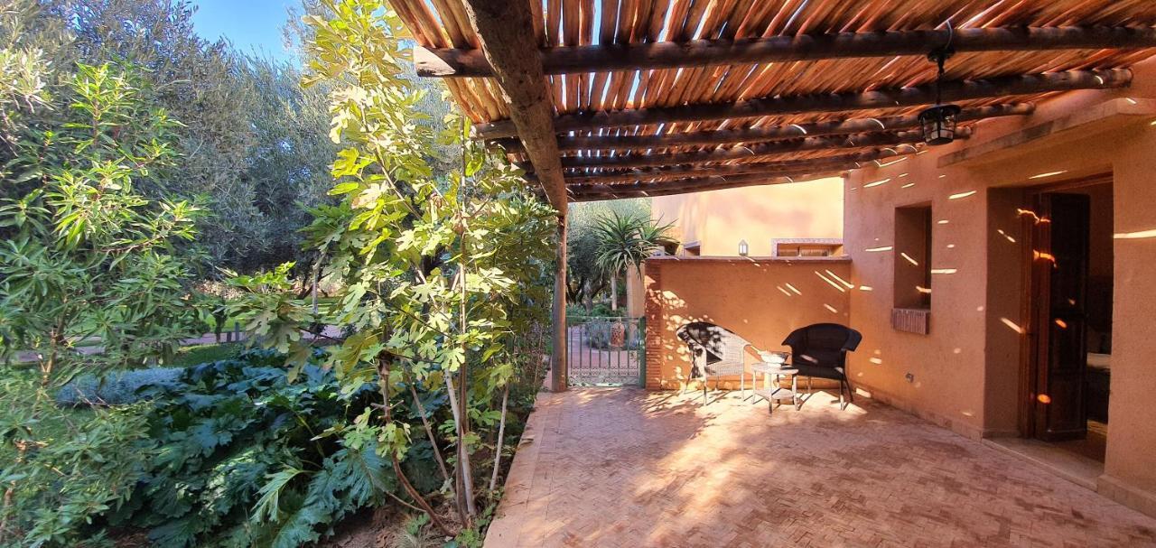 Dar Gonzo & Marrakesh