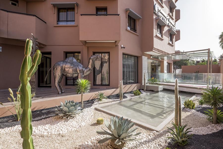 Ayoub & Hotel Marrakesh