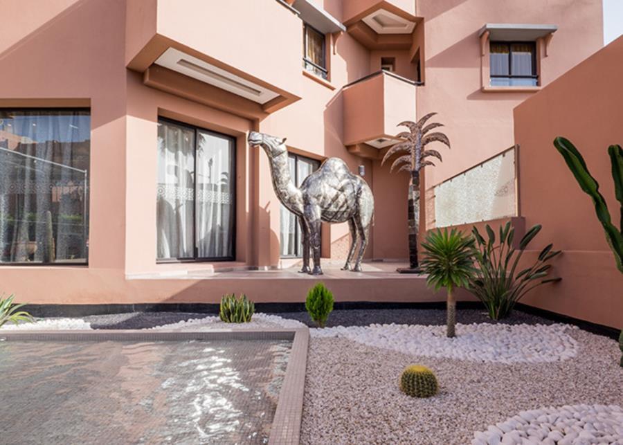 Ayoub & Marrakesh