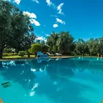 Villa Les Oliviers - A Setting Of Tranquility