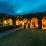 Villa Les Oliviers - A Setting Of Tranquility