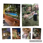 Riad Terracota
