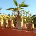 Emplacement N°1 ! Riad Ica