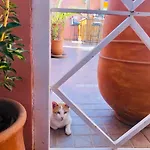 Riad Dihya