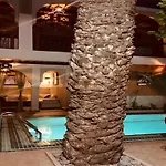 Riad Palmier (Adults Only)