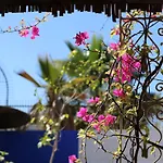 Riad 46