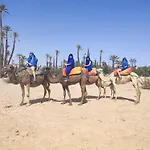 Riad Hanafii