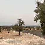 Villa A Vendre Avec Terrain De Surface 17000 M