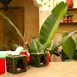 Riad Sassa Finda